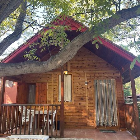 Cabanas De 네르피오 외부 사진